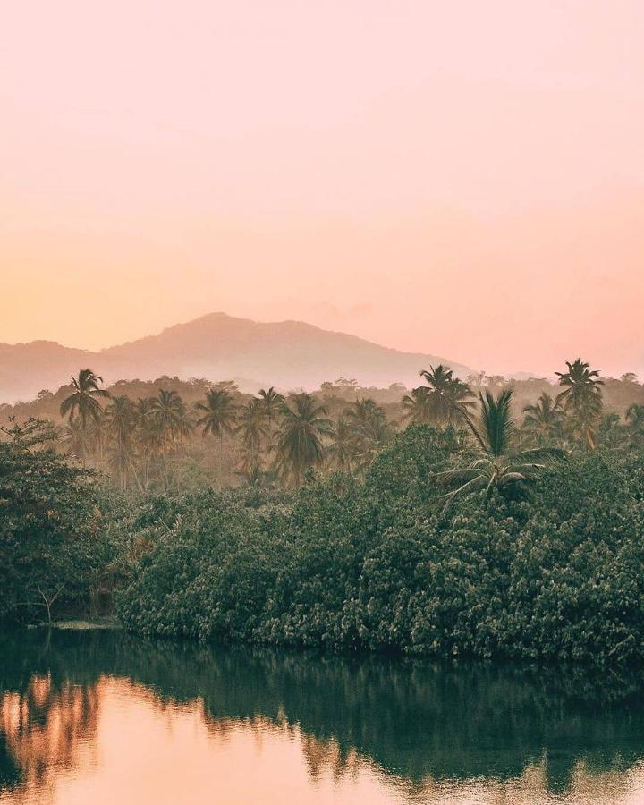 Hotel Jasayma Dentro Del Parque Tayrona El Zaino Bagian luar foto